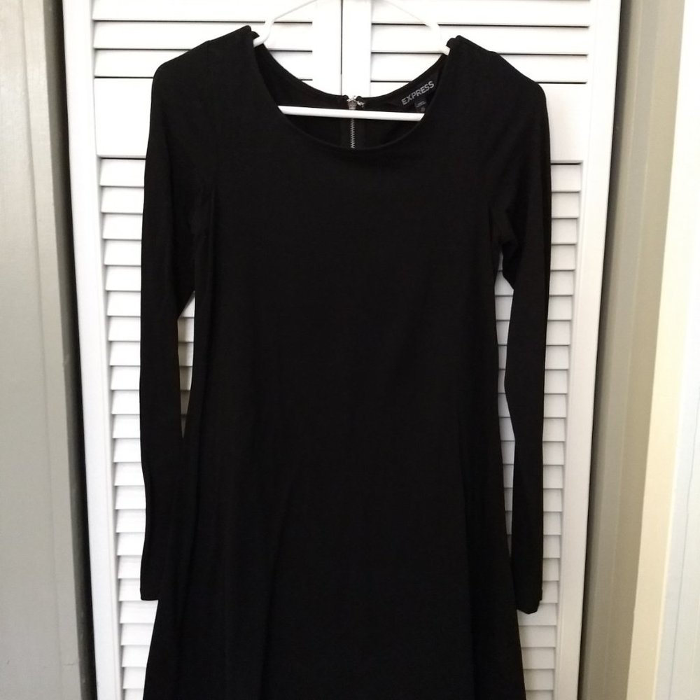 Express long sleeve swing dress